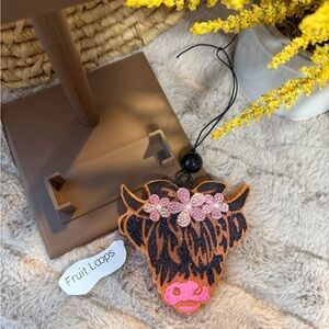 Fruit Loop- Handmade/Painted Car Freshie 💗